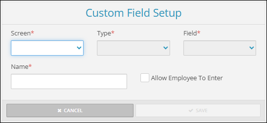 A screenshot of the Custom Field Setup pop-up.