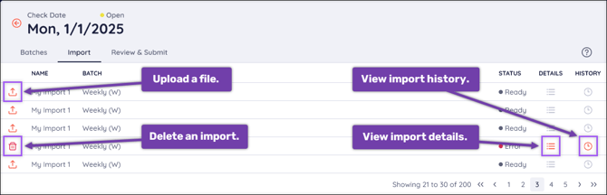 A screenshot of the Import tab, highlighting the Upload, Delete, History, and Details buttons.