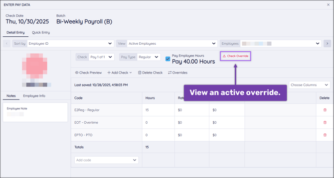 A screenshot of the Detail Entry page, highlighting the active Check Override button.