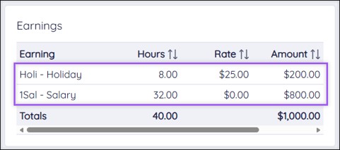 A screenshot of the Earnings section of a Check Preview.
