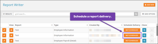 A screenshot of the Report Writer page, highlighting the "Schedule Delivery" button.