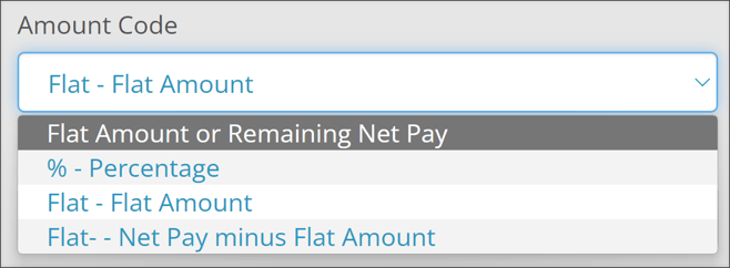 A screenshot of the Amount Code drop-down menu