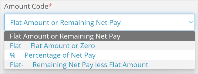 A screenshot of the Amount Code drop-down menu